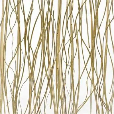 Natural Decor Acrylic Resin Sample – Prairie Grass